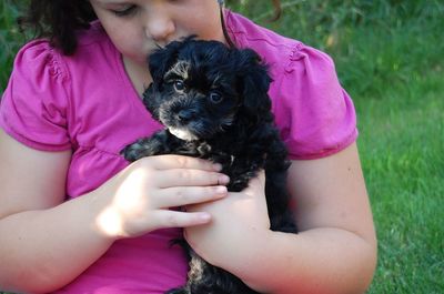 Midsection of woman holding puppy