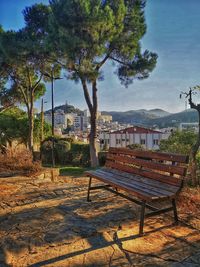 Empty bench in park