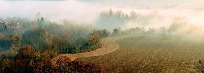 Panoramic shot of trees on field against sky