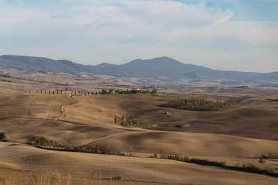 Scenic view of agricultural field against sky