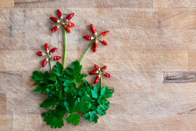 High angle view of red berries on table