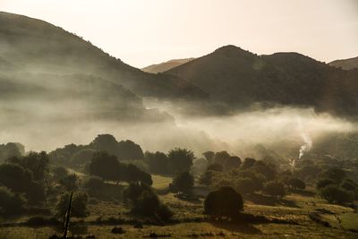 Scenic view of trees and mountains against sky