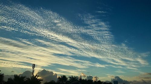 Low angle view of silhouette trees against sky