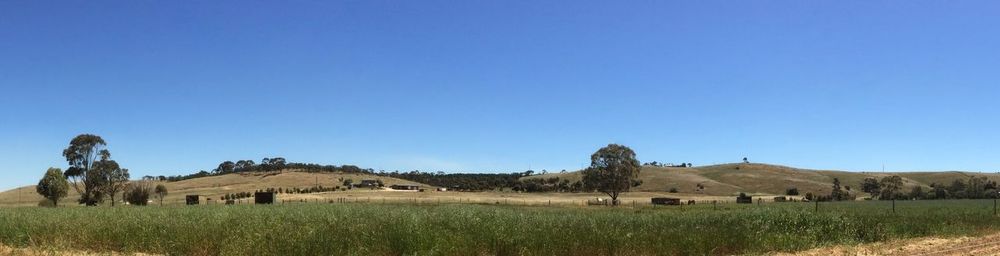 Panoramic view of farm against clear blue sky