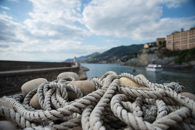 Close-up of ropes and buoys in front of river