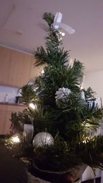 Christmas tree at home