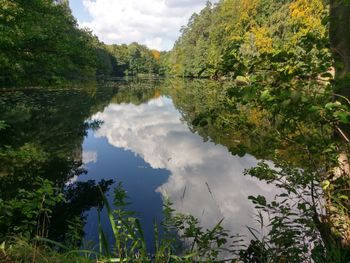 Scenic view of lake and trees against sky