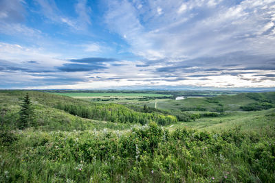 Scenic view of landscape against sky