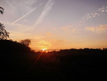 Silhouette trees against sky during sunset