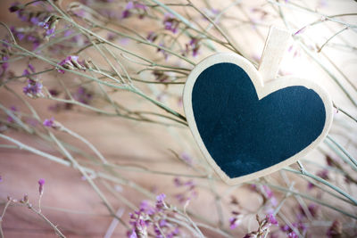 Close-up of heart shape on pink flowering plant