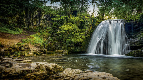 Scenic view of waterfall in forest