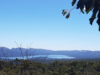 Scenic view of landscape against clear blue sky