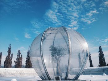 Baobab tree in the winter snow