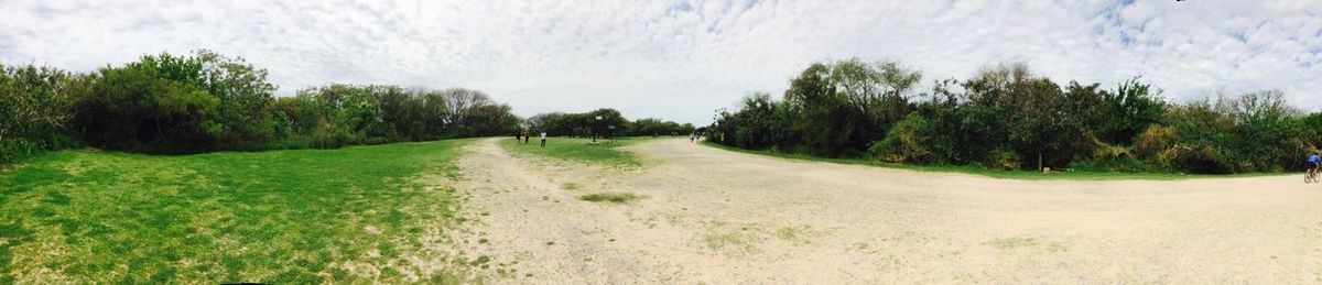 Panoramic shot of trees on landscape against sky