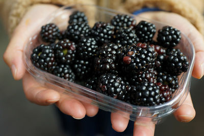 Close-up of hand holding fruits
