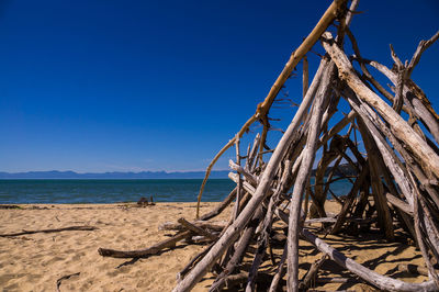 Driftwood on beach against clear blue sky