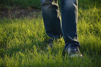 Low section of man standing on grassy field