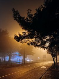 Illuminated road by silhouette trees against sky at night