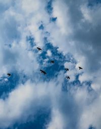 Low angle view of birds flying in sky