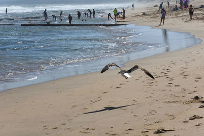 Group of people on beach