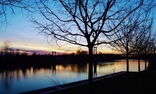 Silhouette of bare trees by lake at sunset