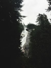 Low angle view of waterfall in forest against sky
