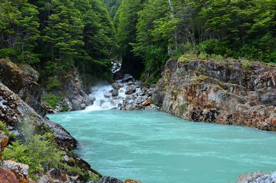 Scenic view of waterfall in forest