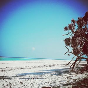 Scenic view of sea against clear blue sky