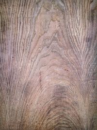 Full frame shot of tree