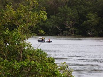 Boat in river amidst trees in forest