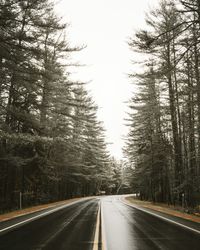 Road passing through trees