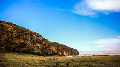 Scenic view of field against blue sky