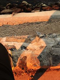 Low section of person on road