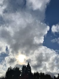 Low angle view of silhouette trees against sky