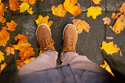 Low section of man standing on yellow maple leaves