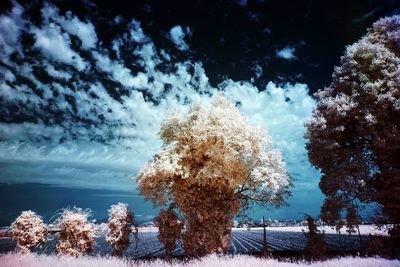 Snow covered landscape against cloudy sky