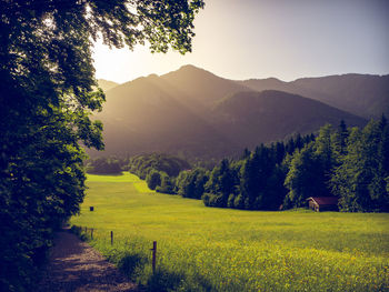 Scenic view of field against sky