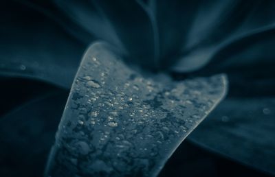 Close up of water