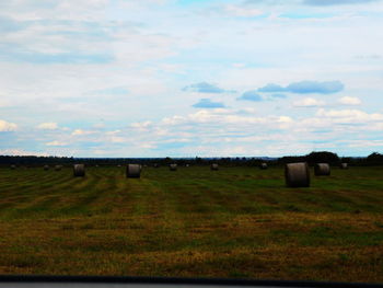 Scenic view of grassy field against sky