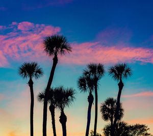 Low angle view of silhouette palm trees against romantic sky