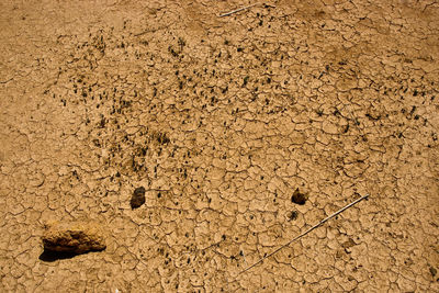 Full frame shot of mud