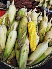 Close up of corn sells on the traditional market