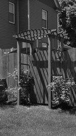 Plants in front of building