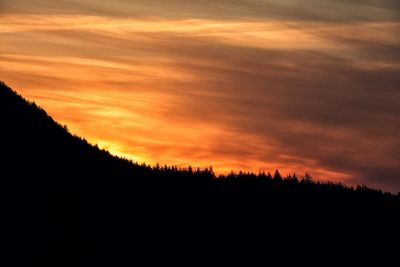 Silhouette trees against sky during sunset