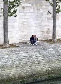 Rear view of couple walking on cobblestone