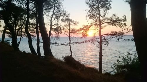 Silhouette trees by lake against sky during sunset