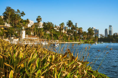 Scenic view of lake and trees against clear blue sky