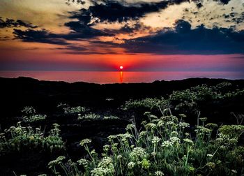 Scenic view of dramatic sky during sunset