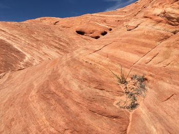 Scenic view of desert