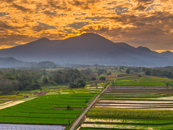 landscape